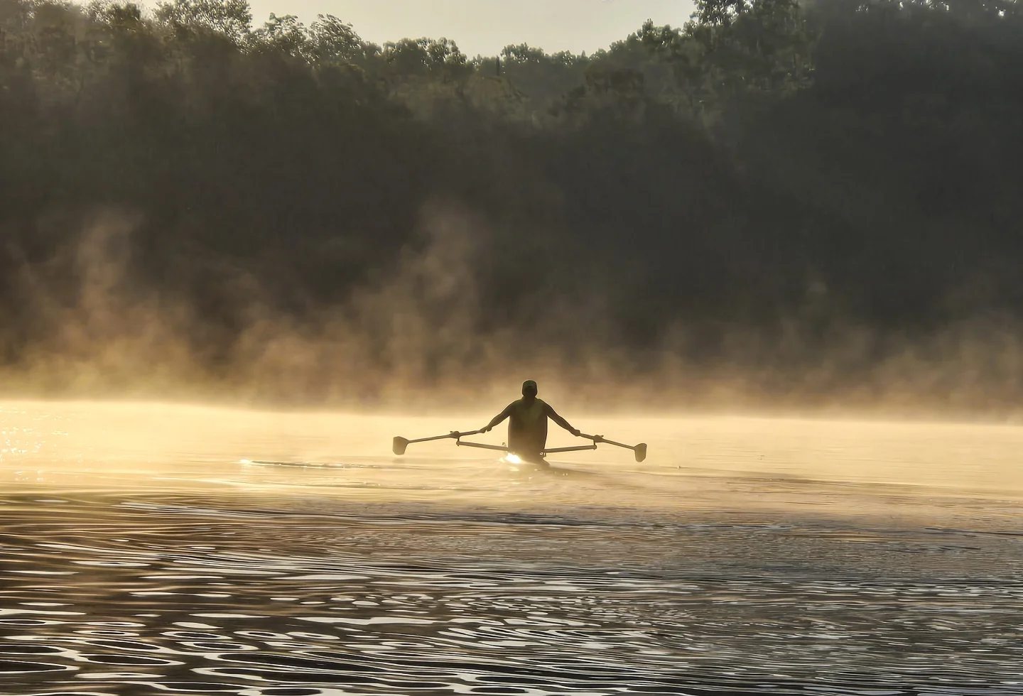 Lars sculls through mist on sunlit water, with a wooded shoreline behind.